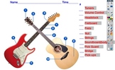 Guitar Parts Quiz