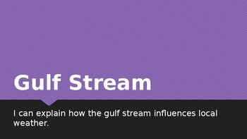 Preview of Gulf Stream PowerPoint