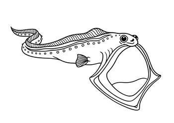gulper eel coloring pages