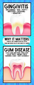 Gum Health Dental Infographic by Emily Lucier | TPT
