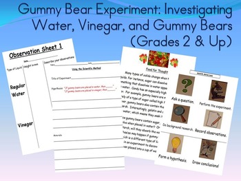Preview of Gummy Bear Experiment! Grades 2 & up:Investigating Water, Vinegar, & Gummy Bears