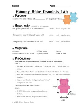 Gummy Bear Osmosis Lab by A Middle School Survival Guide | TpT