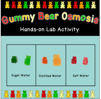 osmosis experiment with gummy bears