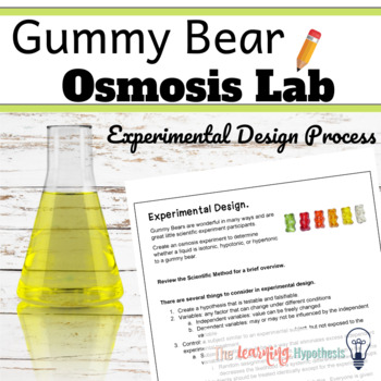 Preview of Gummy Bear Osmosis Lab.  Experimental Design.
