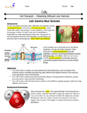 Gummy Bear Osmosis and Diffusion Lab Activity