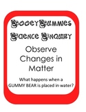 Gummy Bear Scientific Method Inquiry Experiment -explore c