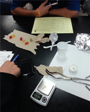 Gummy Bear Terror!  Physical and Chemical Changes Lab with