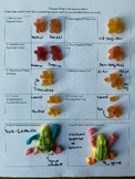 Gummy Bear and Frog Surgery | Directional Terminology LAB