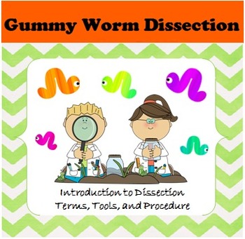 Preview of Gummy Worm Dissection Lab Activity