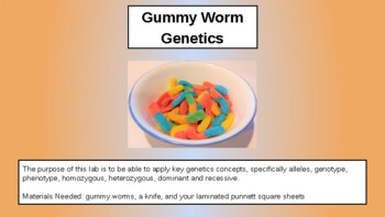 Preview of Gummy Worm Genetics Lab