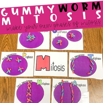 Preview of Gummy Worm Mitosis Activity