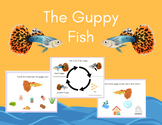 Guppy Fish Science Project Environment