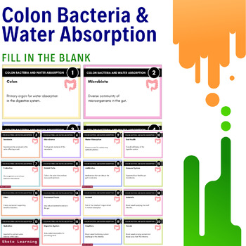 Preview of Gut Insights Flashcards: Colon Bacteria & Water Absorption Mastery