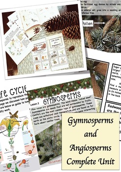 Preview of Gymnosperms and Angiosperms Unit and Lap Book