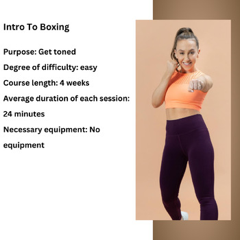 Preview of Gymondo Online|Intro To Boxing|Sport|Comprehensive body shaping course