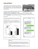 Gypsum Bones: MS-PS1-3 Student Handout with Teacher Guide and Key