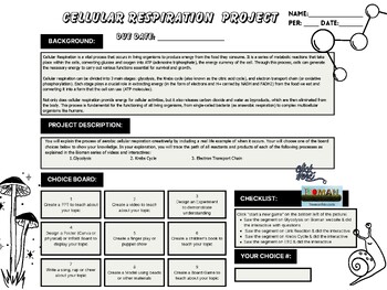 Preview of H.S. Biology & Environmental Sci. Cellular Respiration Project w/ Rubric (9-12)