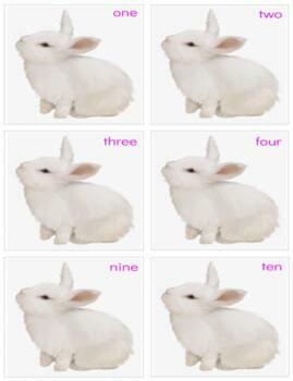 Preview of H266 (GOOGLE): EASTER|BUNNY (#0-10) (words only) (add cottonball tails) (2pgs)
