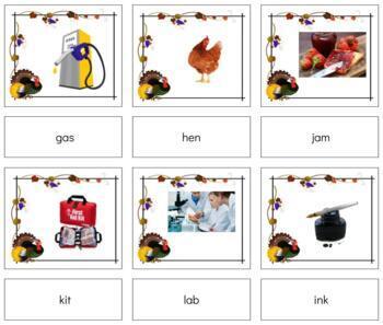 Preview of H612 (GOOGLE): THANKSGIVING|TURKEY (CVC|phonetic)(2 part cards) (5pgs)