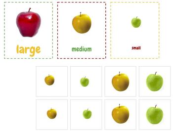 Preview of H636 (GOOGLE): APPLE  (S M L)  sorting cards (2pgs)