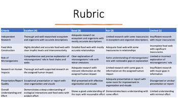 Preview of HABITATS & ECOSYSTEMS ASSESSMENT RUBRIC