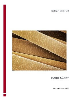 Preview of HAIRY SCARY - A DESIGN BRIEF