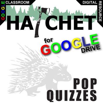 Preview of HATCHET 14 Pop Quizzes DIGITAL Comprehension Question Exit Ticket Slips