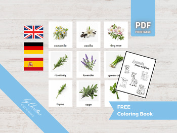 Preview of HERBS • 30 Montessori Cards • German English Spanish Spices Flashcard PDF