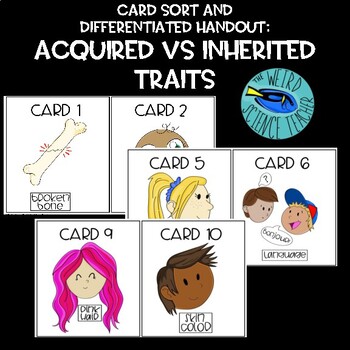 Preview of HEREDITY: INHERITED AND ACQUIRED TRAITS - SORT CARDS WITH DIFFERENTIATED HANDOUT