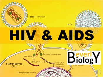 Preview of HIV and AIDS PowerPoint (with free handout)