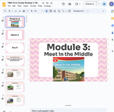 HMH 2nd Grade Module 3: Meet in the Middle Week 2 Reading 