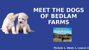Preview of 2nd Grade -HMH Into Reading - Meet the Dogs of Bedlam Farms