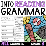 HMH Into Reading 3rd Grade Grammar Pack for ALL Modules - 