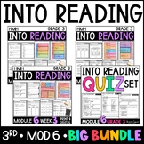 HMH Into Reading 3rd Grade: Module 6 Supplement AND Module