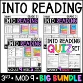 HMH Into Reading 3rd Grade Module 9 Supplements AND Assess