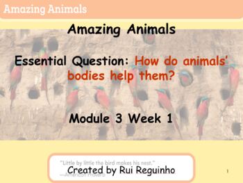 Preview of HMH Into Reading - First Grade - Module 3 Week 1