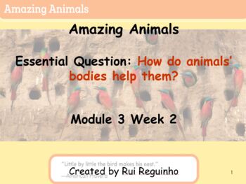 Preview of HMH Into Reading - First Grade - Module 3 Week 2