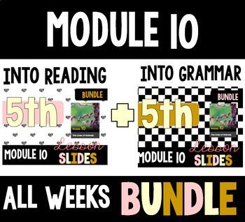 Preview of HMH Into Reading Grammar & Reading Bundle for Module 10 - ALL WEEKS