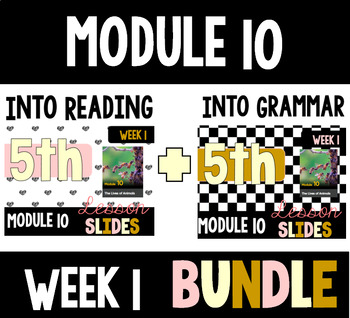 Preview of HMH Into Reading Grammar & Reading Bundle for Module 10 - Week 1
