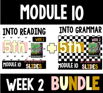 Preview of HMH Into Reading Grammar & Reading Bundle for Module 10 - Week 2