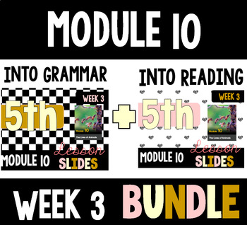 Preview of HMH Into Reading Grammar & Reading Bundle for Module 10 - Week 3