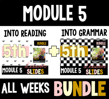 Preview of HMH Into Reading Grammar & Reading Bundle for Module 5 - ALL WEEKS