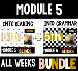 HMH Into Reading Grammar & Reading Bundle for Module 5 - A
