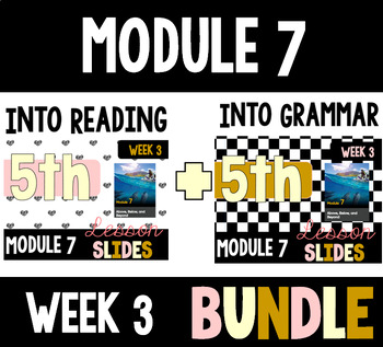 Preview of HMH Into Reading Grammar & Reading Bundle for Module 7 - Week 3
