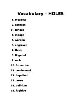 Preview of HOLES Novel Guide - Vocabulary
