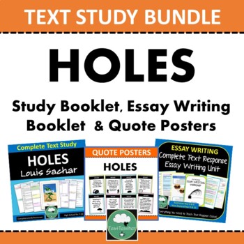 Preview of HOLES Text Study Essays Posters Secondary English BUNDLE