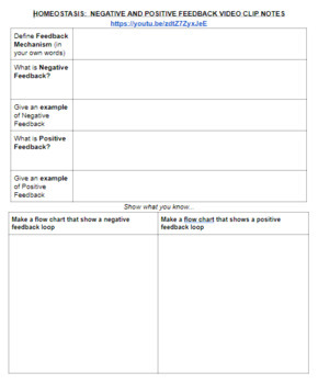 Preview of HOMEOSTASIS:  - & + FEEDBACK VIDEO ACTIVITY