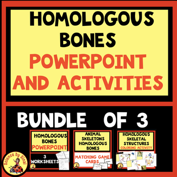 Preview of HOMOLOGOUS BONE STRUCTURES BUNDLE PowerPoint, Activities and Game Cards MS-LS4-2