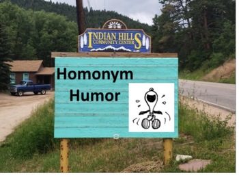 Preview of Homonym Humor - DISTANCE LEARNING, EASEL ACTIVITY