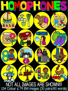 Preview of HOMOPHONES CLIPART BUNDLE- 30 PAIRS (60 WORDS), Commercial Use